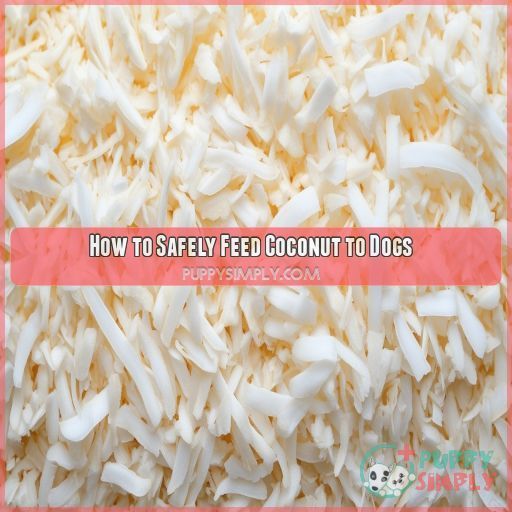 How to Safely Feed Coconut to Dogs