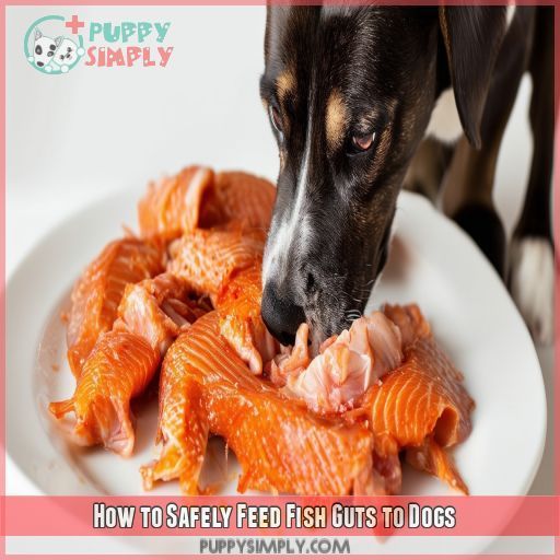 How to Safely Feed Fish Guts to Dogs