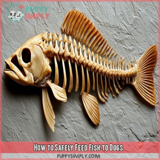 How to Safely Feed Fish to Dogs