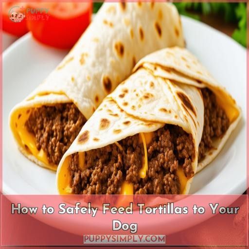 How to Safely Feed Tortillas to Your Dog
