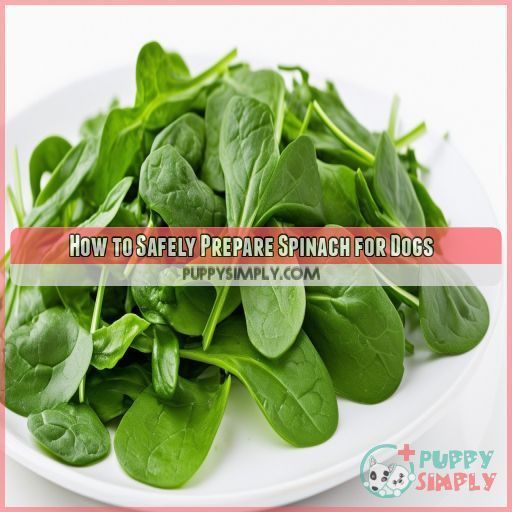 How to Safely Prepare Spinach for Dogs