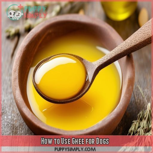 How to Use Ghee for Dogs