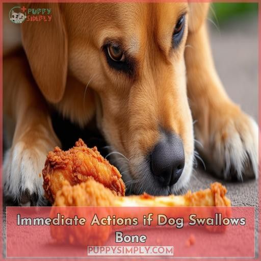 Immediate Actions if Dog Swallows Bone