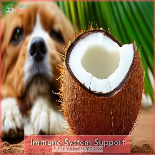 Immune System Support