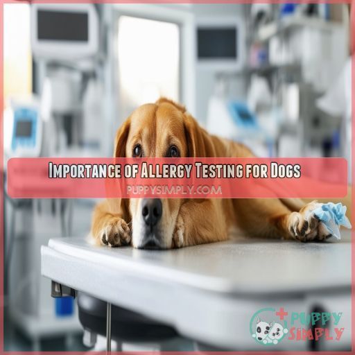 Importance of Allergy Testing for Dogs