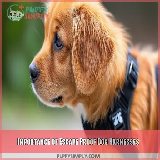 Importance of Escape Proof Dog Harnesses