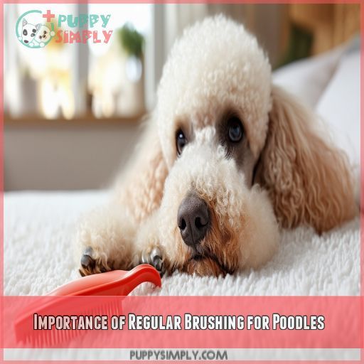 Importance of Regular Brushing for Poodles