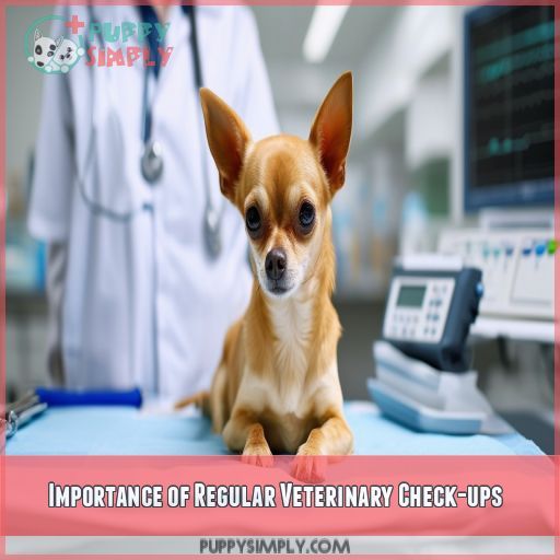 Importance of Regular Veterinary Check-ups