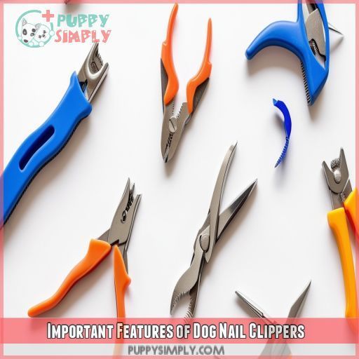 Important Features of Dog Nail Clippers