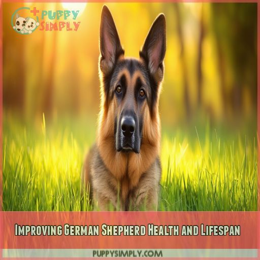 Improving German Shepherd Health and Lifespan