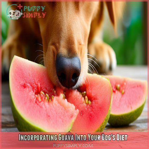 Incorporating Guava Into Your Dog