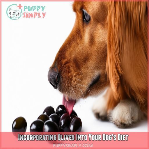 Incorporating Olives Into Your Dog