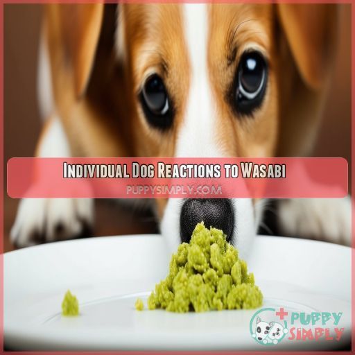 Individual Dog Reactions to Wasabi