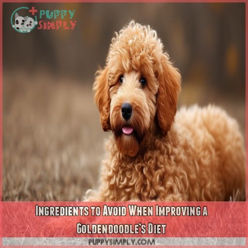 Ingredients to Avoid When Improving a Goldendoodle’s Diet
