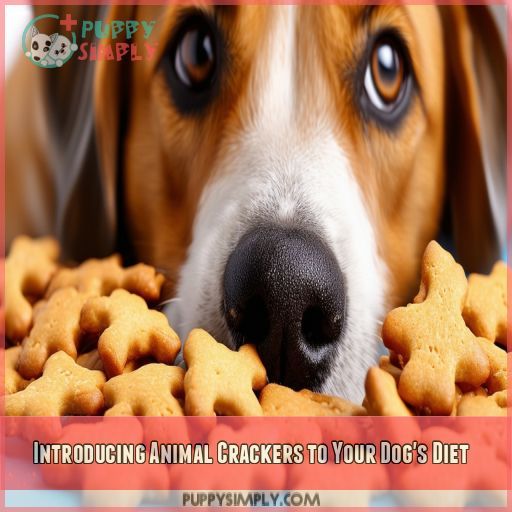 Introducing Animal Crackers to Your Dog