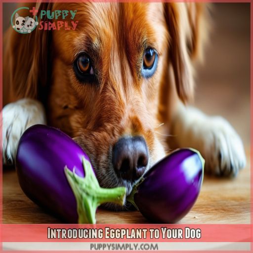 Introducing Eggplant to Your Dog