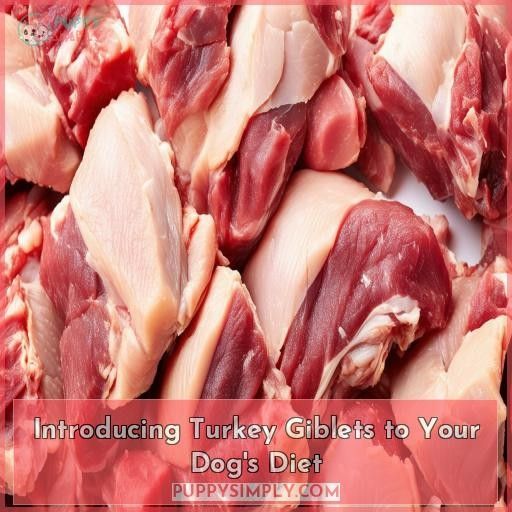 Introducing Turkey Giblets to Your Dog