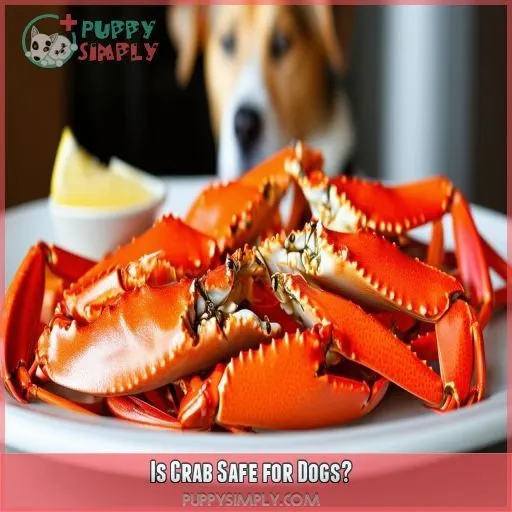 Is Crab Safe for Dogs