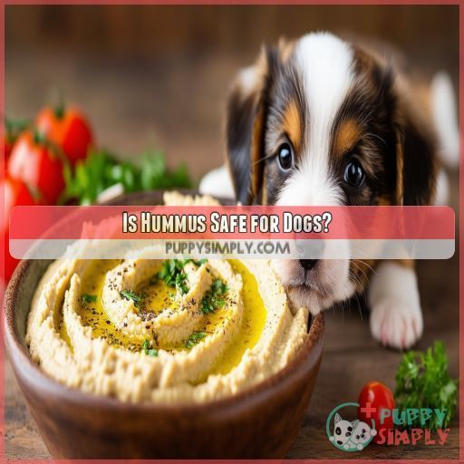 Is Hummus Safe for Dogs