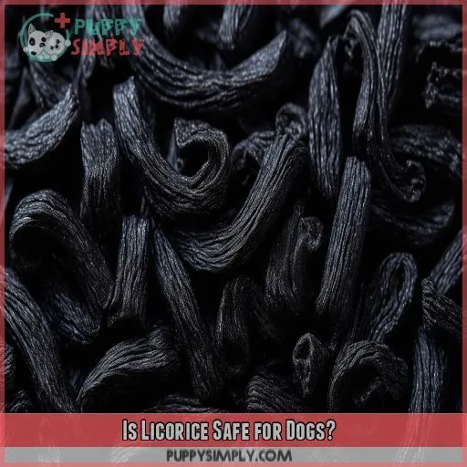 Is Licorice Safe for Dogs