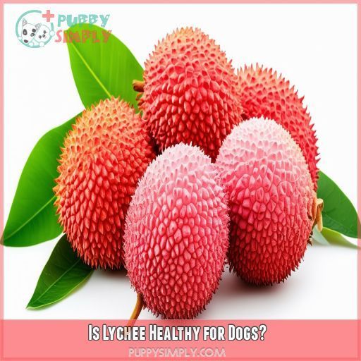 Is Lychee Healthy for Dogs