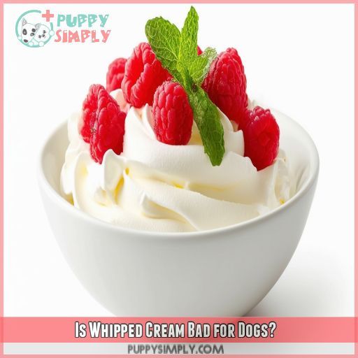 Is Whipped Cream Bad for Dogs