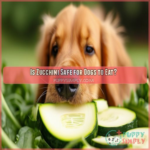 Is Zucchini Safe for Dogs to Eat