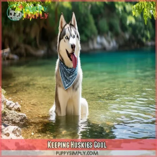 Keeping Huskies Cool