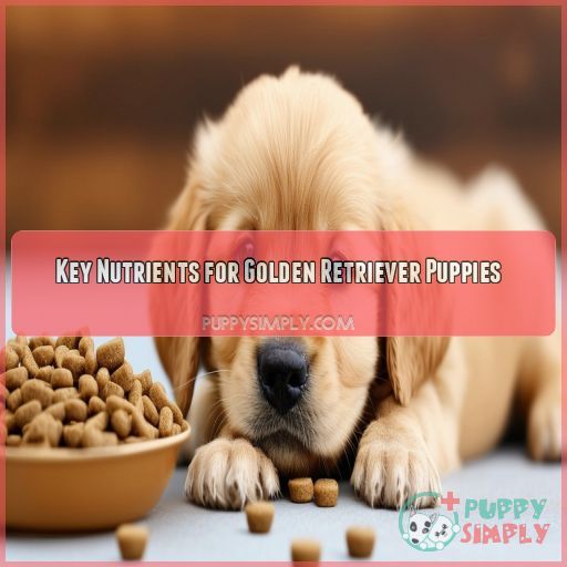 Key Nutrients for Golden Retriever Puppies