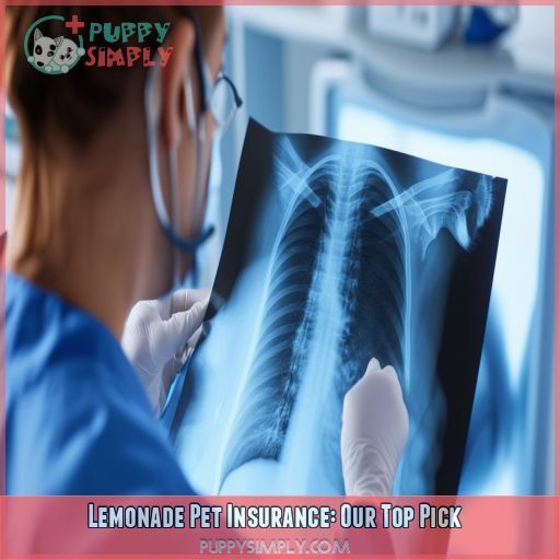 Lemonade Pet Insurance: Our Top Pick