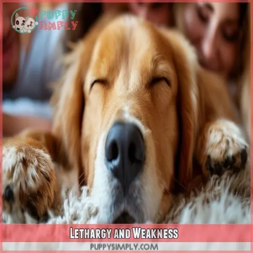 Lethargy and Weakness