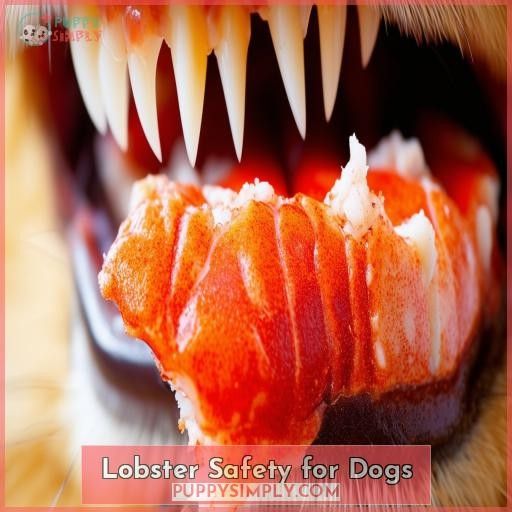 Lobster Safety for Dogs