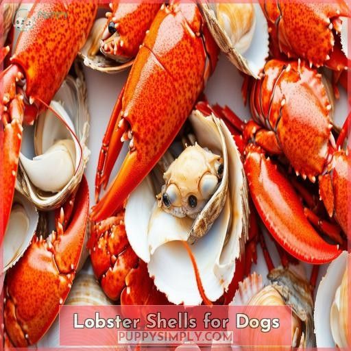 Lobster Shells for Dogs