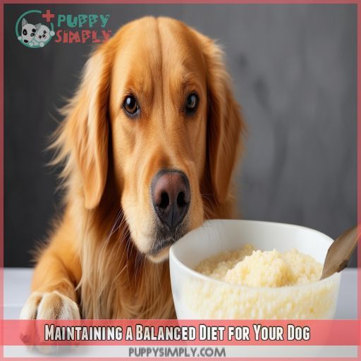 Maintaining a Balanced Diet for Your Dog