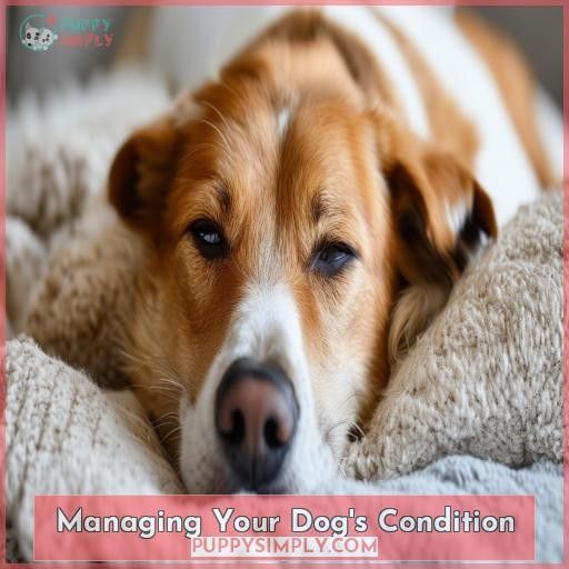Managing Your Dog