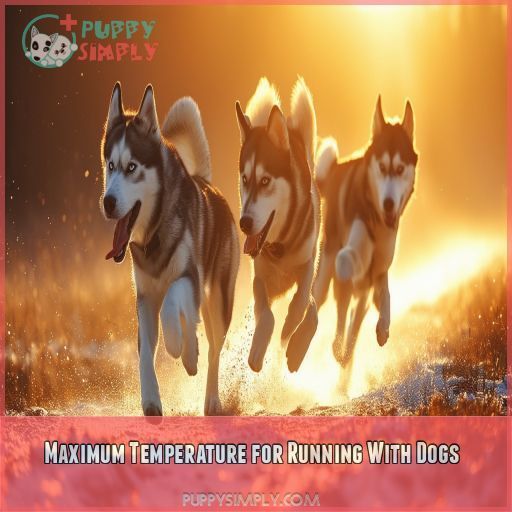 Maximum Temperature for Running With Dogs
