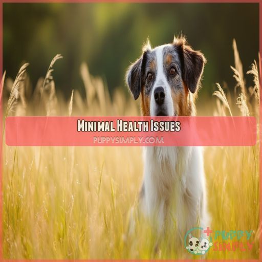 Minimal Health Issues