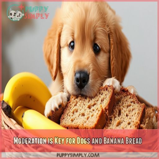 Moderation is Key for Dogs and Banana Bread