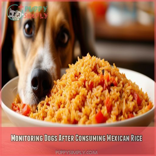Monitoring Dogs After Consuming Mexican Rice