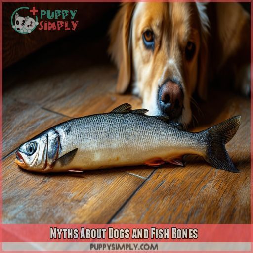 Myths About Dogs and Fish Bones