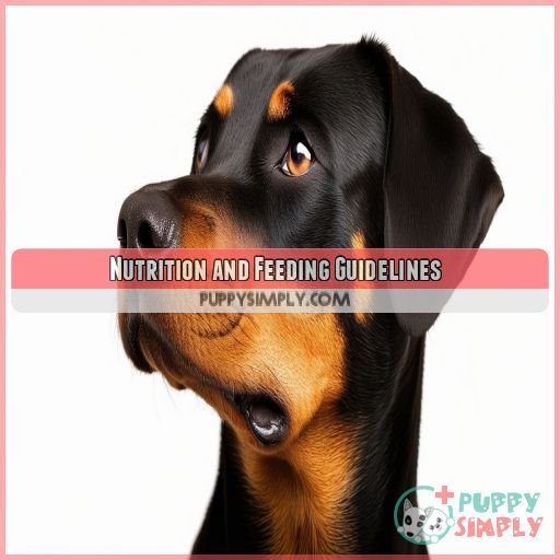 Nutrition and Feeding Guidelines