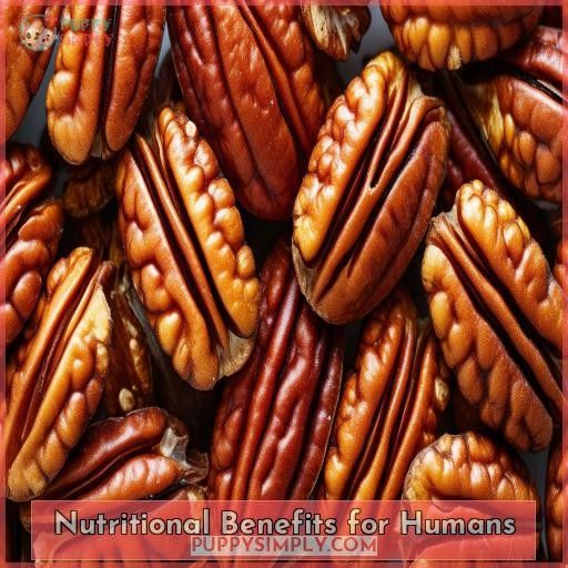 Nutritional Benefits for Humans