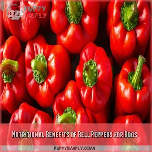Nutritional Benefits of Bell Peppers for Dogs