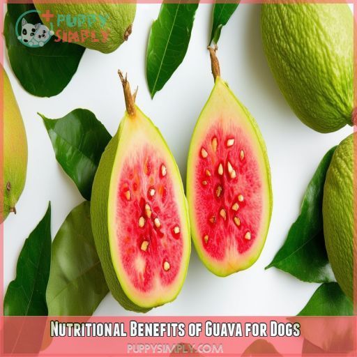 Nutritional Benefits of Guava for Dogs