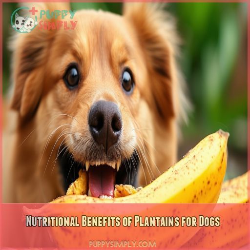 Nutritional Benefits of Plantains for Dogs