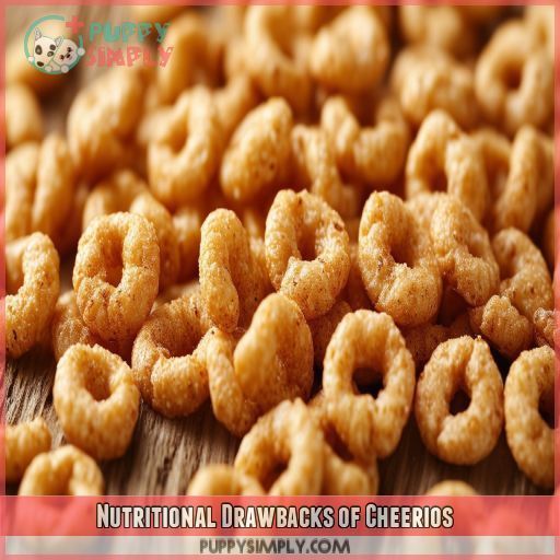 Nutritional Drawbacks of Cheerios