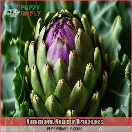 Nutritional Value of Artichokes