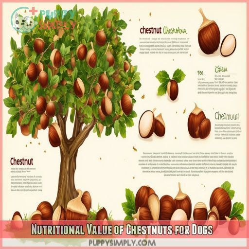Nutritional Value of Chestnuts for Dogs