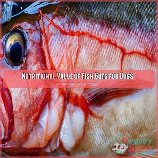Nutritional Value of Fish Guts for Dogs