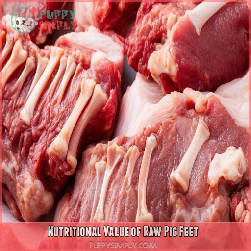 Nutritional Value of Raw Pig Feet